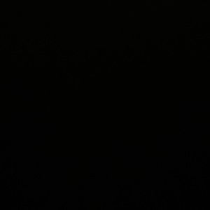 Meet your Posher, Barry